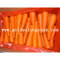 2016 New Crop Carrot De Shandong